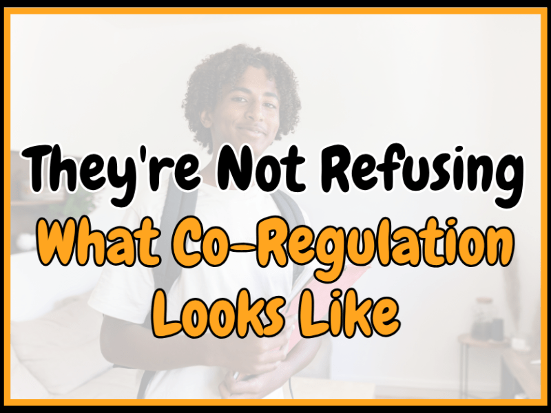 Co-Regulation in the Classroom: What It Can Look Like for Middle School&nbsp;Counselors
